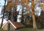 Aardappelkelder